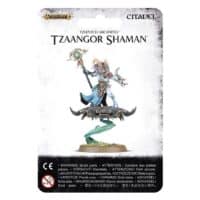 TZEENTCH ARCANITES TZAANGOR SHAMAN