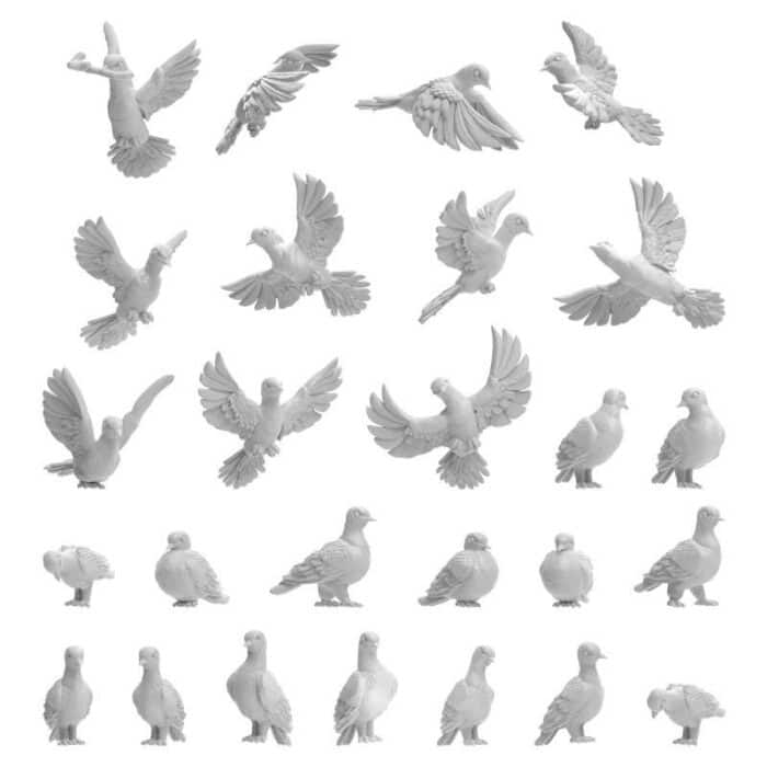 Palomas 1:48-1:35